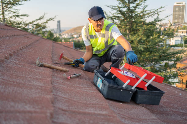 Best Historical Building Siding Restoration  in Havana, FL